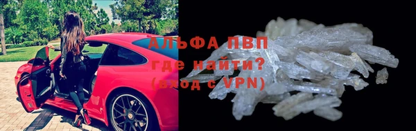круглые Аркадак