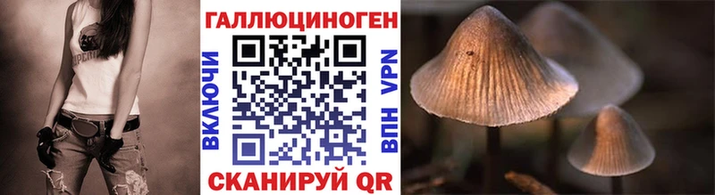 Псилоцибиновые грибы Cubensis как найти наркотики Безенчук